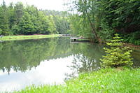 Baden im Bayerischen Wald