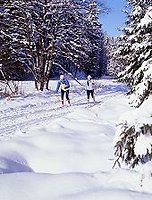 Langlauf im Bayerischen Wald