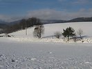 Landurlaub Eichinger - Bayerischer Wald