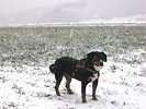 Landurlaub Eichinger - Bayerischer Wald