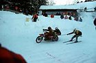 Landurlaub Eichinger - Bayerischer Wald