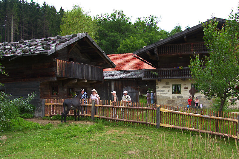 Bayerischer Wald